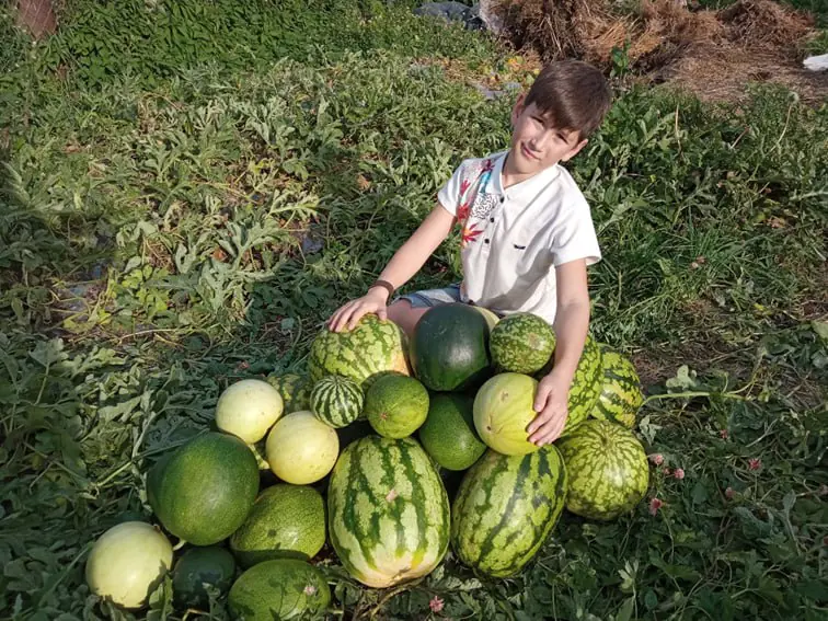 Юные аграрии отличились