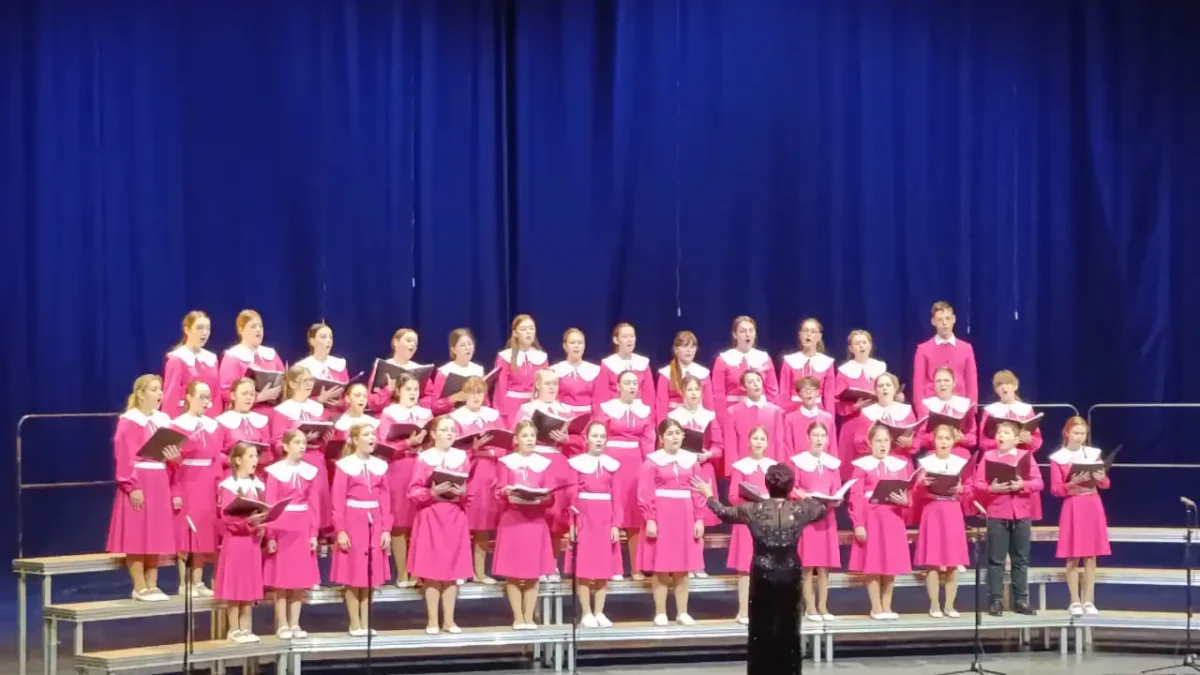 Владимиру Шаинскому посвящается